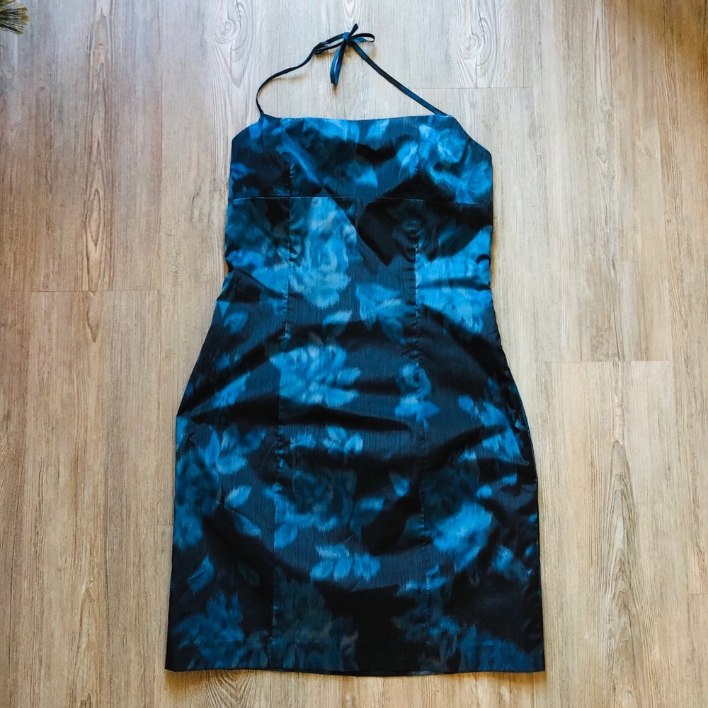 New! EXPRESS Vintage Dress